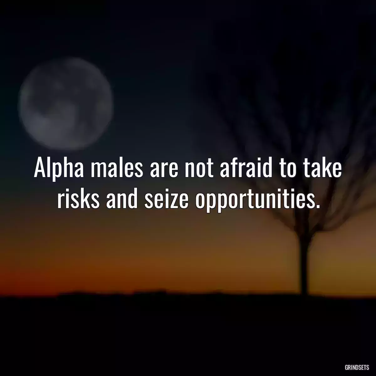 Alpha males are not afraid to take risks and seize opportunities.