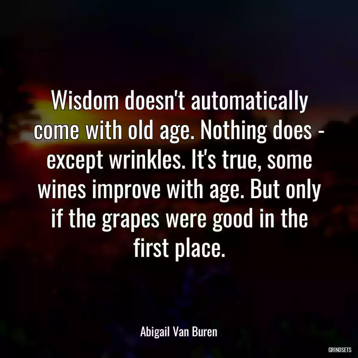 Wisdom doesn\'t automatically come with old age. Nothing does - except wrinkles. It\'s true, some wines improve with age. But only if the grapes were good in the first place.