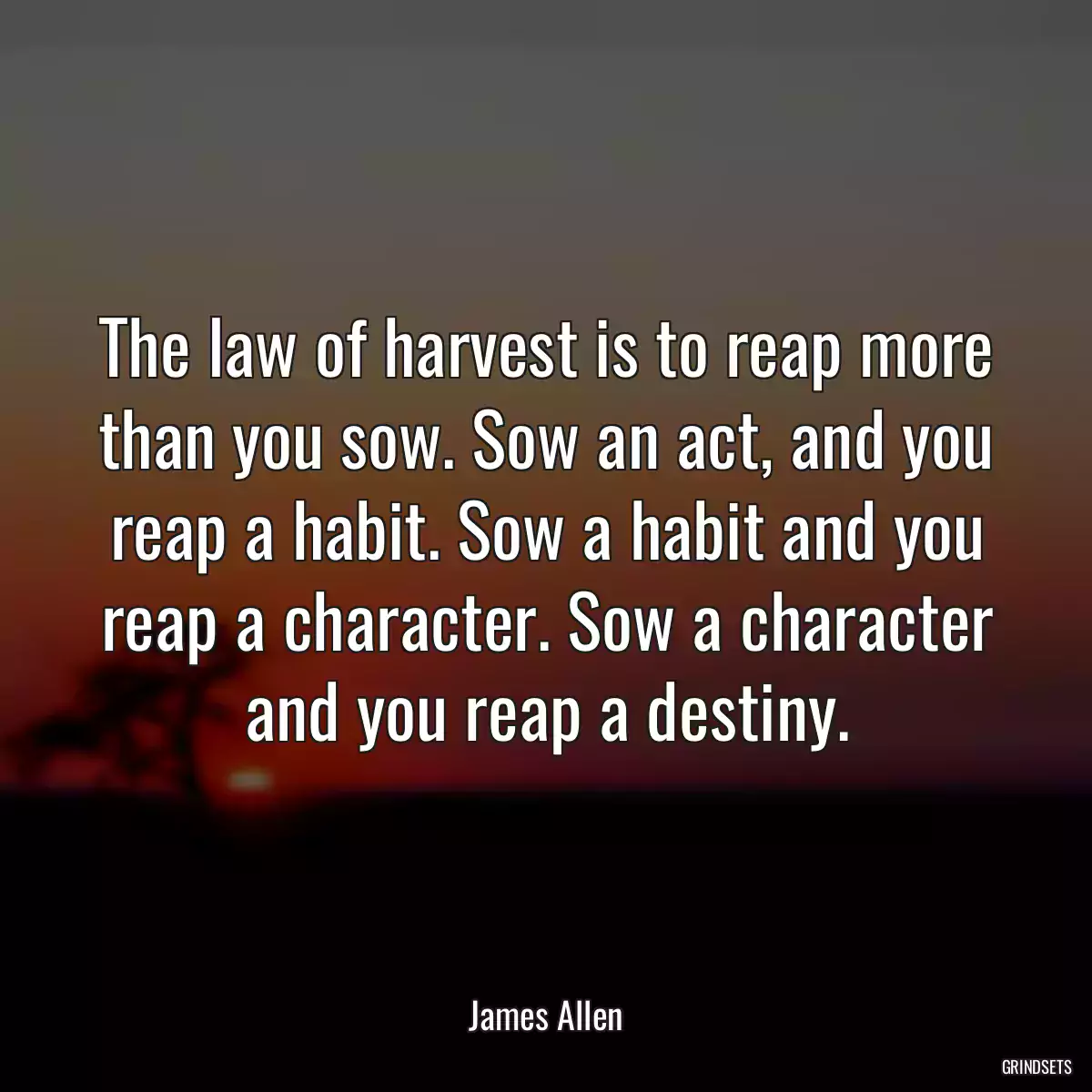 The law of harvest is to reap more than you sow. Sow an act, and you reap a habit. Sow a habit and you reap a character. Sow a character and you reap a destiny.