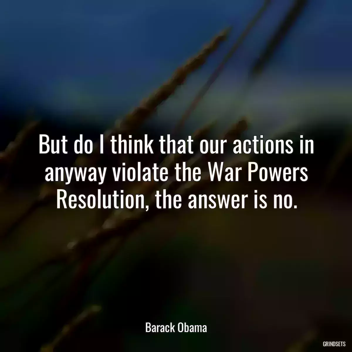 But do I think that our actions in anyway violate the War Powers Resolution, the answer is no.