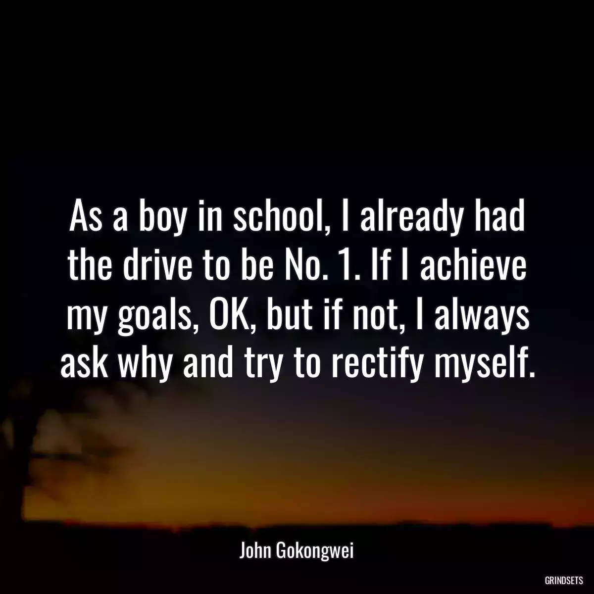 As a boy in school, I already had the drive to be No. 1. If I achieve my goals, OK, but if not, I always ask why and try to rectify myself.