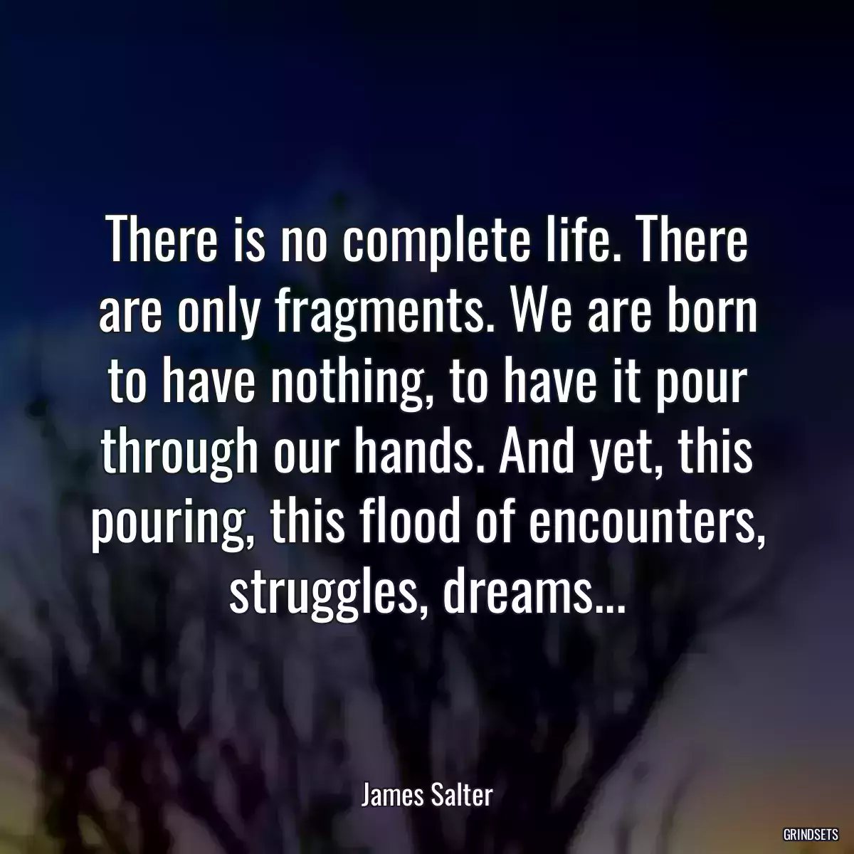 There is no complete life. There are only fragments. We are born to have nothing, to have it pour through our hands. And yet, this pouring, this flood of encounters, struggles, dreams...