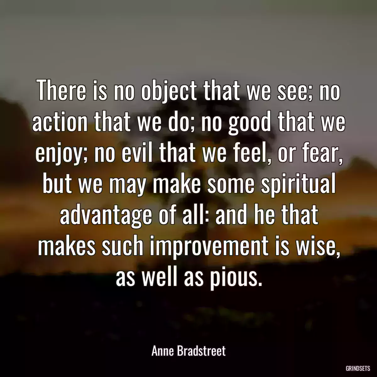 There is no object that we see; no action that we do; no good that we enjoy; no evil that we feel, or fear, but we may make some spiritual advantage of all: and he that makes such improvement is wise, as well as pious.