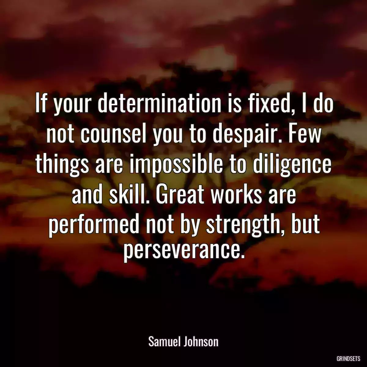 If your determination is fixed, I do not counsel you to despair. Few things are impossible to diligence and skill. Great works are performed not by strength, but perseverance.