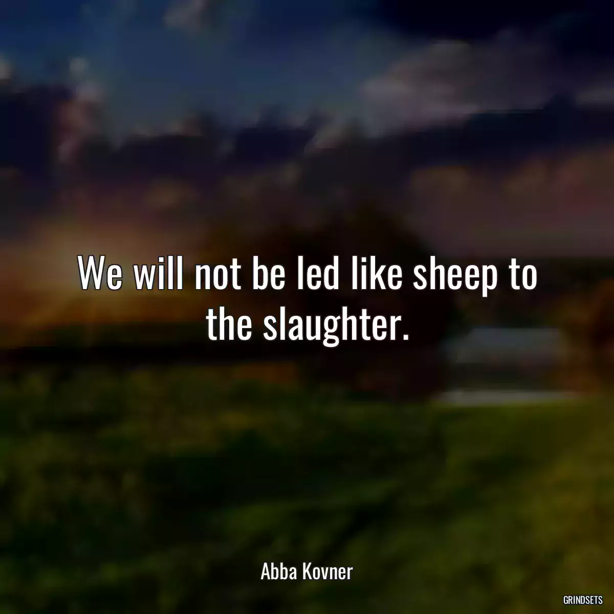 We will not be led like sheep to the slaughter.