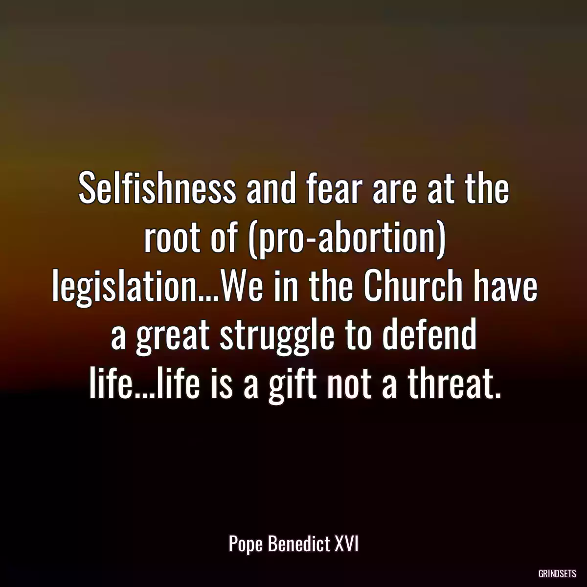 Selfishness and fear are at the root of (pro-abortion) legislation...We in the Church have a great struggle to defend life...life is a gift not a threat.