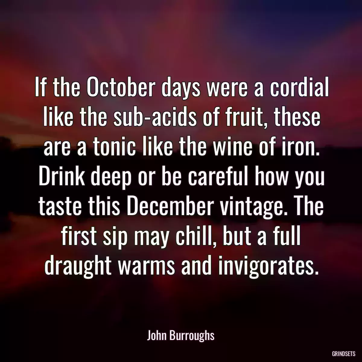 If the October days were a cordial like the sub-acids of fruit, these are a tonic like the wine of iron. Drink deep or be careful how you taste this December vintage. The first sip may chill, but a full draught warms and invigorates.