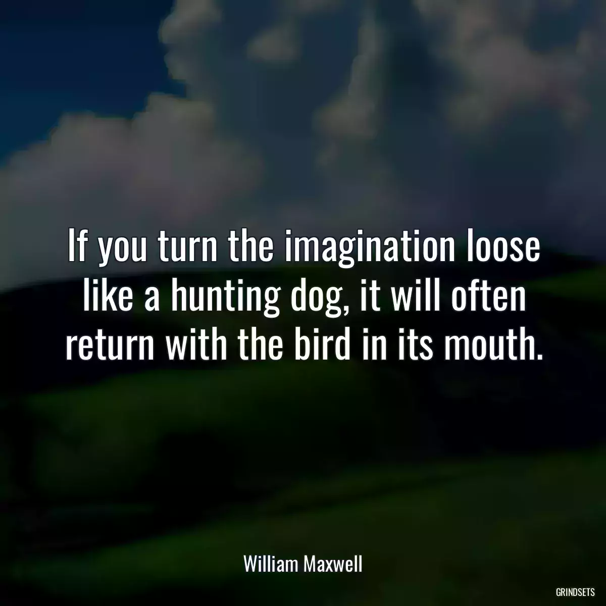 If you turn the imagination loose like a hunting dog, it will often return with the bird in its mouth.