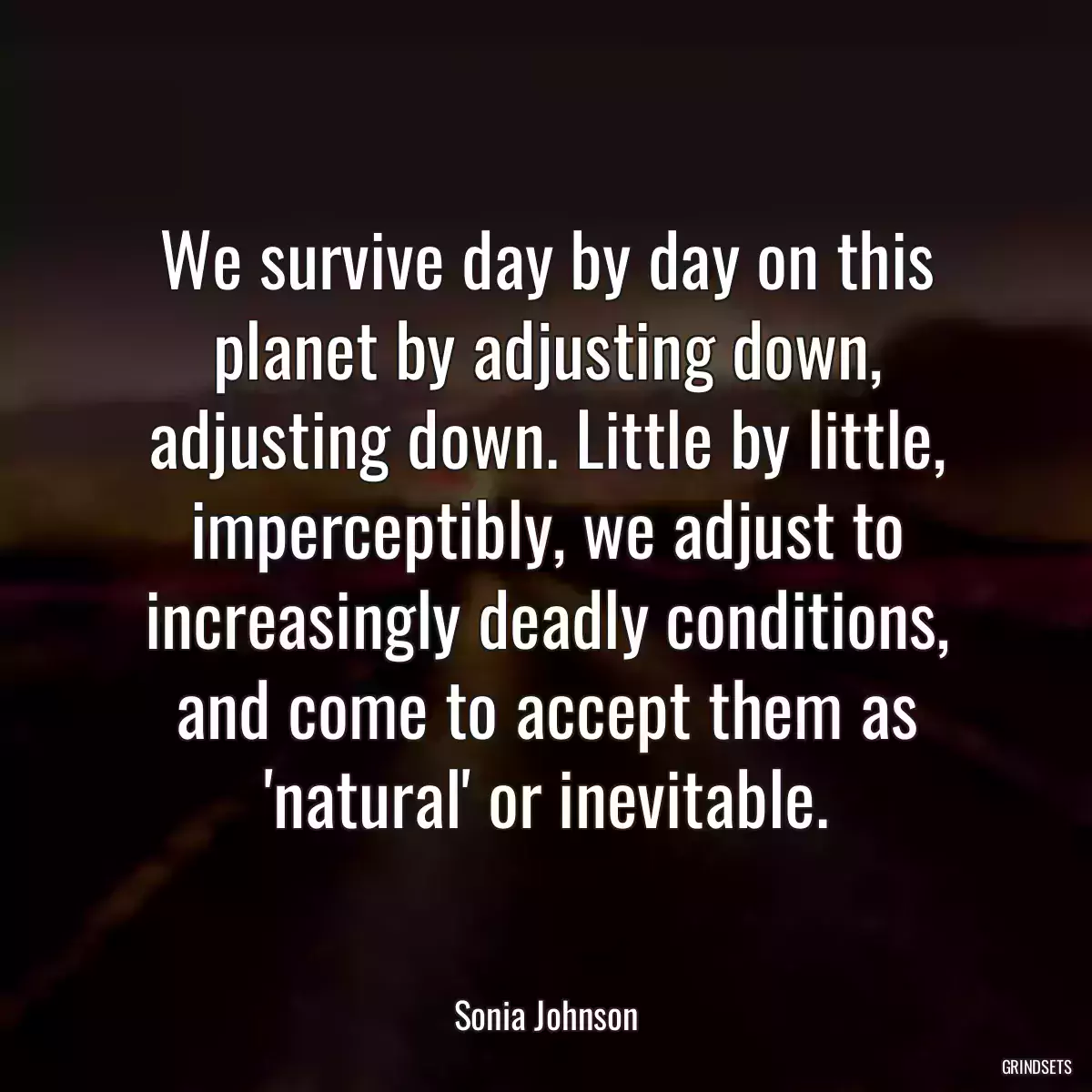 We survive day by day on this planet by adjusting down, adjusting down. Little by little, imperceptibly, we adjust to increasingly deadly conditions, and come to accept them as \'natural\' or inevitable.