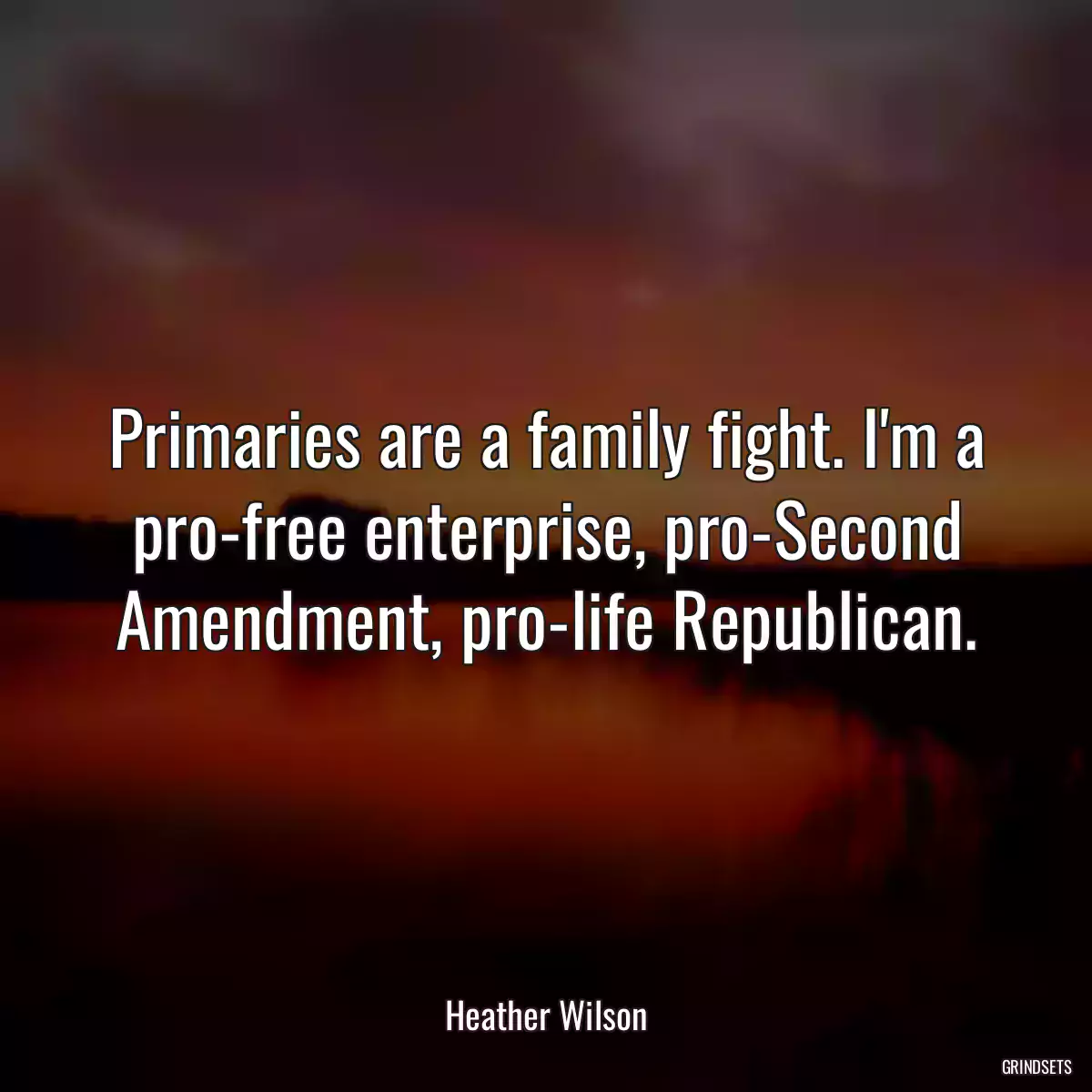 Primaries are a family fight. I\'m a pro-free enterprise, pro-Second Amendment, pro-life Republican.