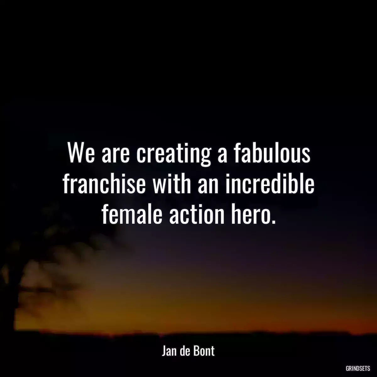 We are creating a fabulous franchise with an incredible female action hero.