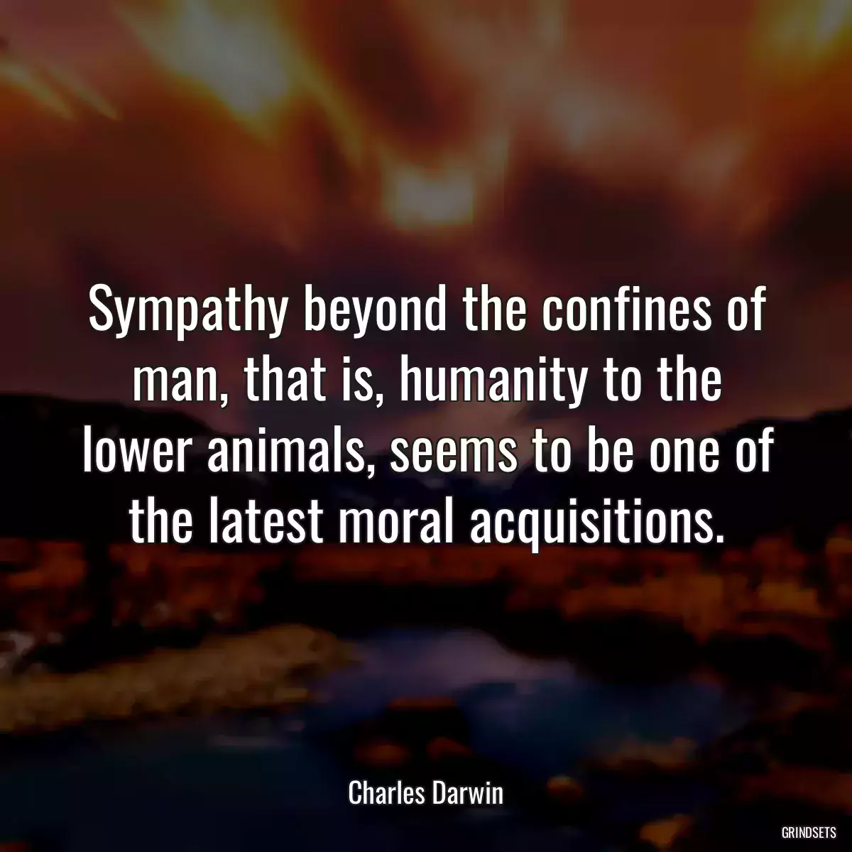 Sympathy beyond the confines of man, that is, humanity to the lower animals, seems to be one of the latest moral acquisitions.