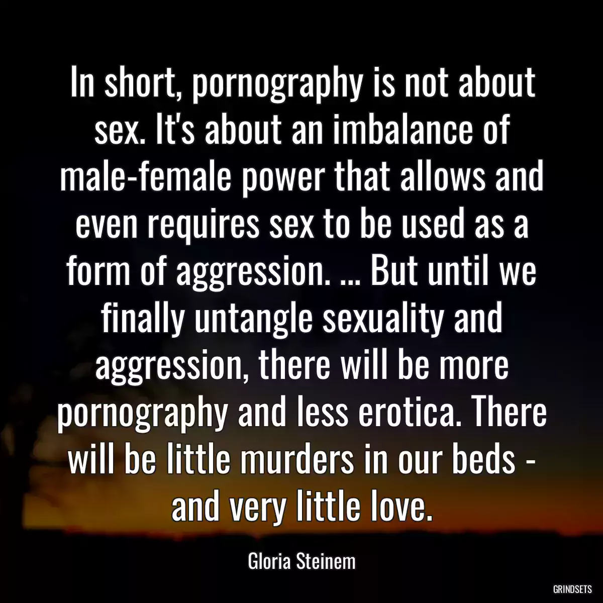 In short, pornography is not about sex. It\'s about an imbalance of male-female power that allows and even requires sex to be used as a form of aggression. ... But until we finally untangle sexuality and aggression, there will be more pornography and less erotica. There will be little murders in our beds - and very little love.