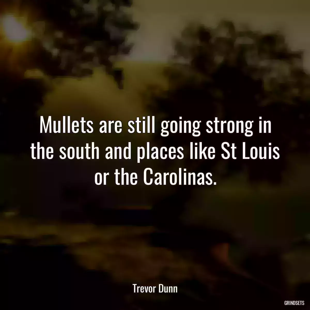 Mullets are still going strong in the south and places like St Louis or the Carolinas.