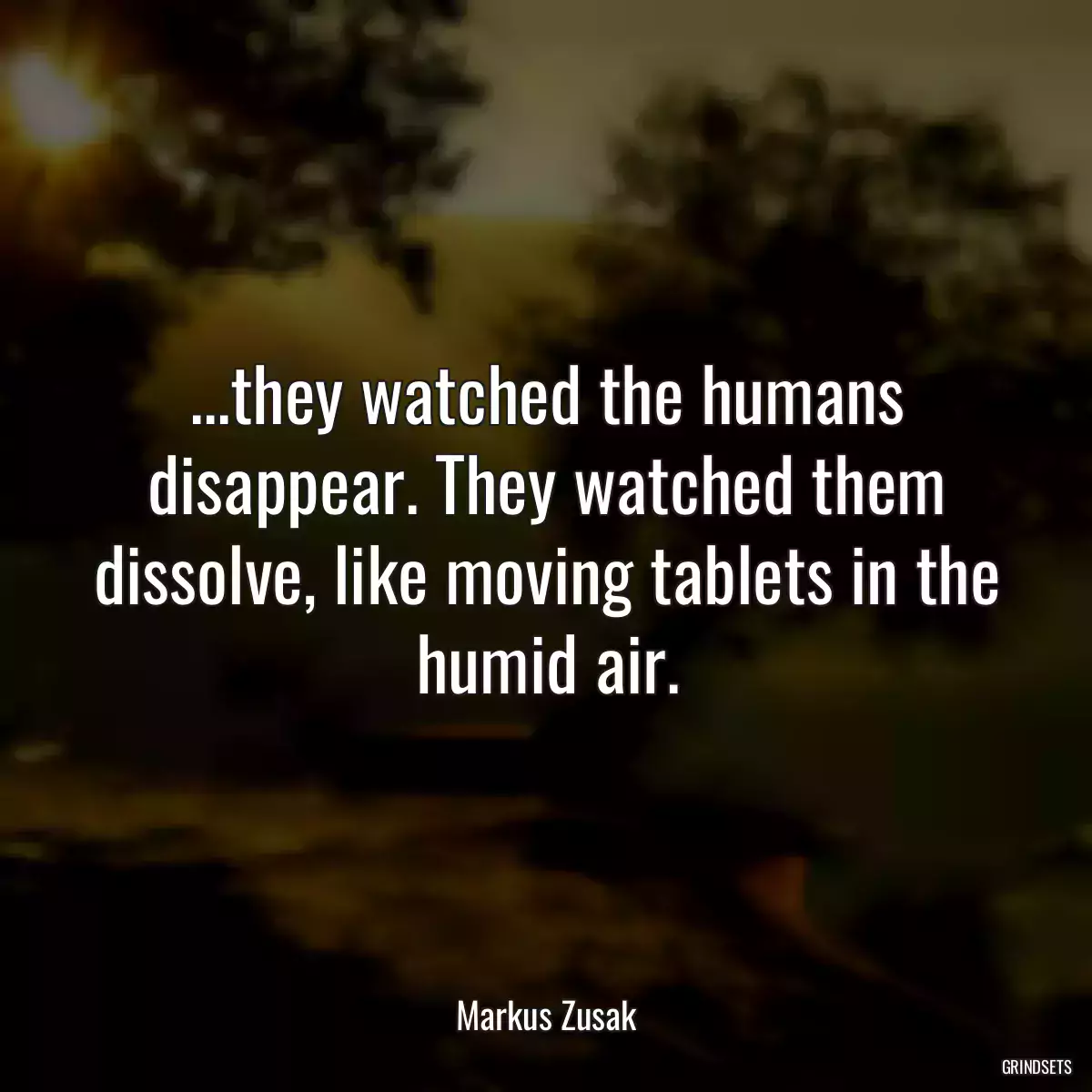 ...they watched the humans disappear. They watched them dissolve, like moving tablets in the humid air.