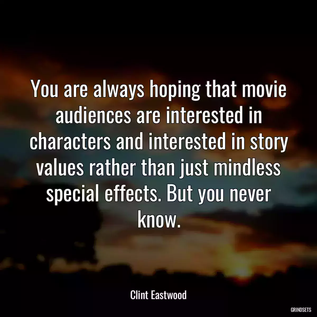 You are always hoping that movie audiences are interested in characters and interested in story values rather than just mindless special effects. But you never know.