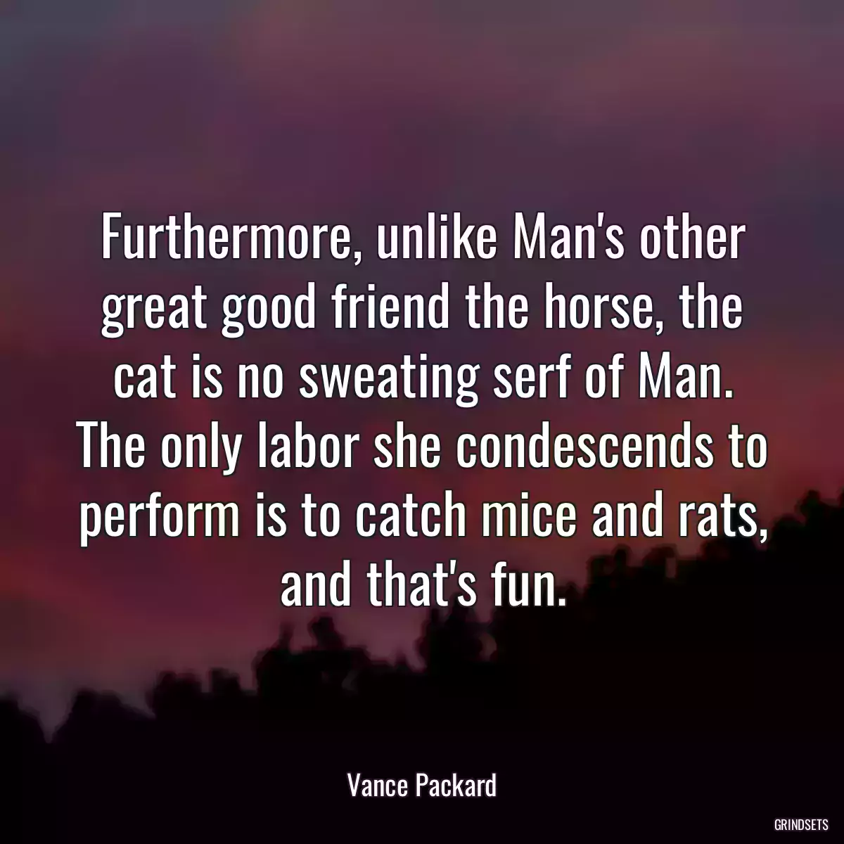 Furthermore, unlike Man\'s other great good friend the horse, the cat is no sweating serf of Man. The only labor she condescends to perform is to catch mice and rats, and that\'s fun.