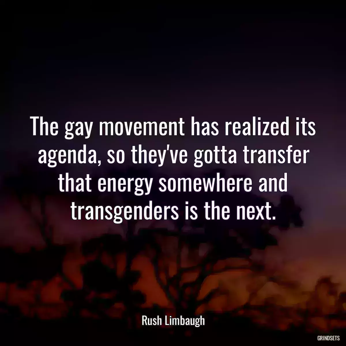 The gay movement has realized its agenda, so they\'ve gotta transfer that energy somewhere and transgenders is the next.