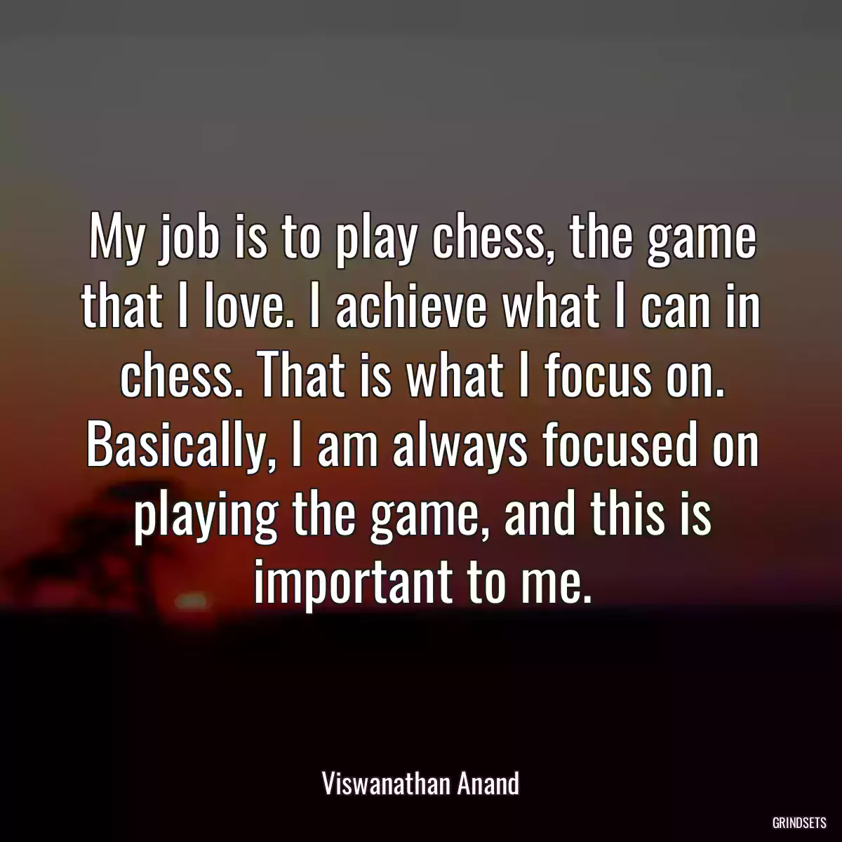 My job is to play chess, the game that I love. I achieve what I can in chess. That is what I focus on. Basically, I am always focused on playing the game, and this is important to me.