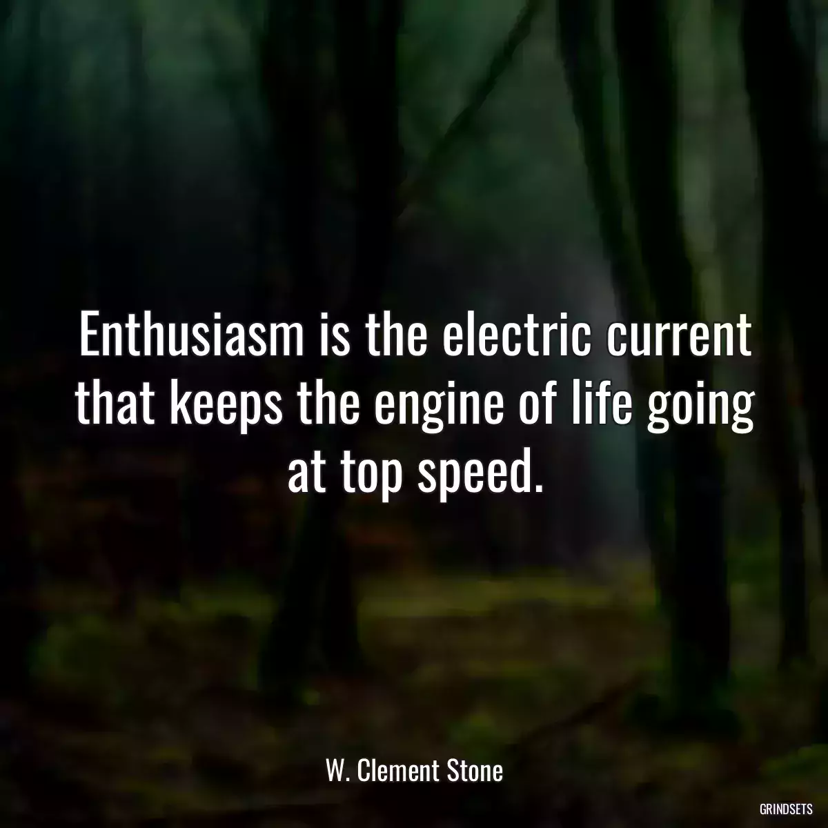 Enthusiasm is the electric current that keeps the engine of life going at top speed.