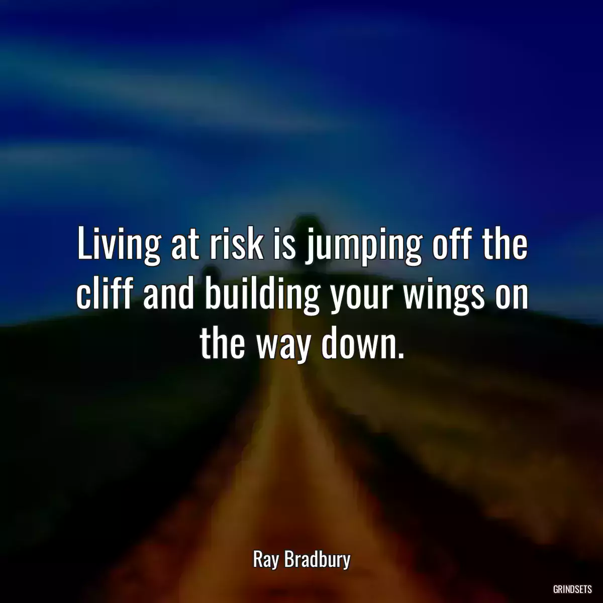 Living at risk is jumping off the cliff and building your wings on the way down.