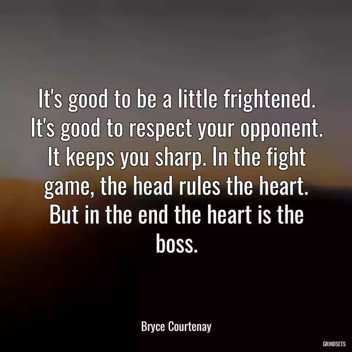 It\'s good to be a little frightened. It\'s good to respect your opponent. It keeps you sharp. In the fight game, the head rules the heart. But in the end the heart is the boss.