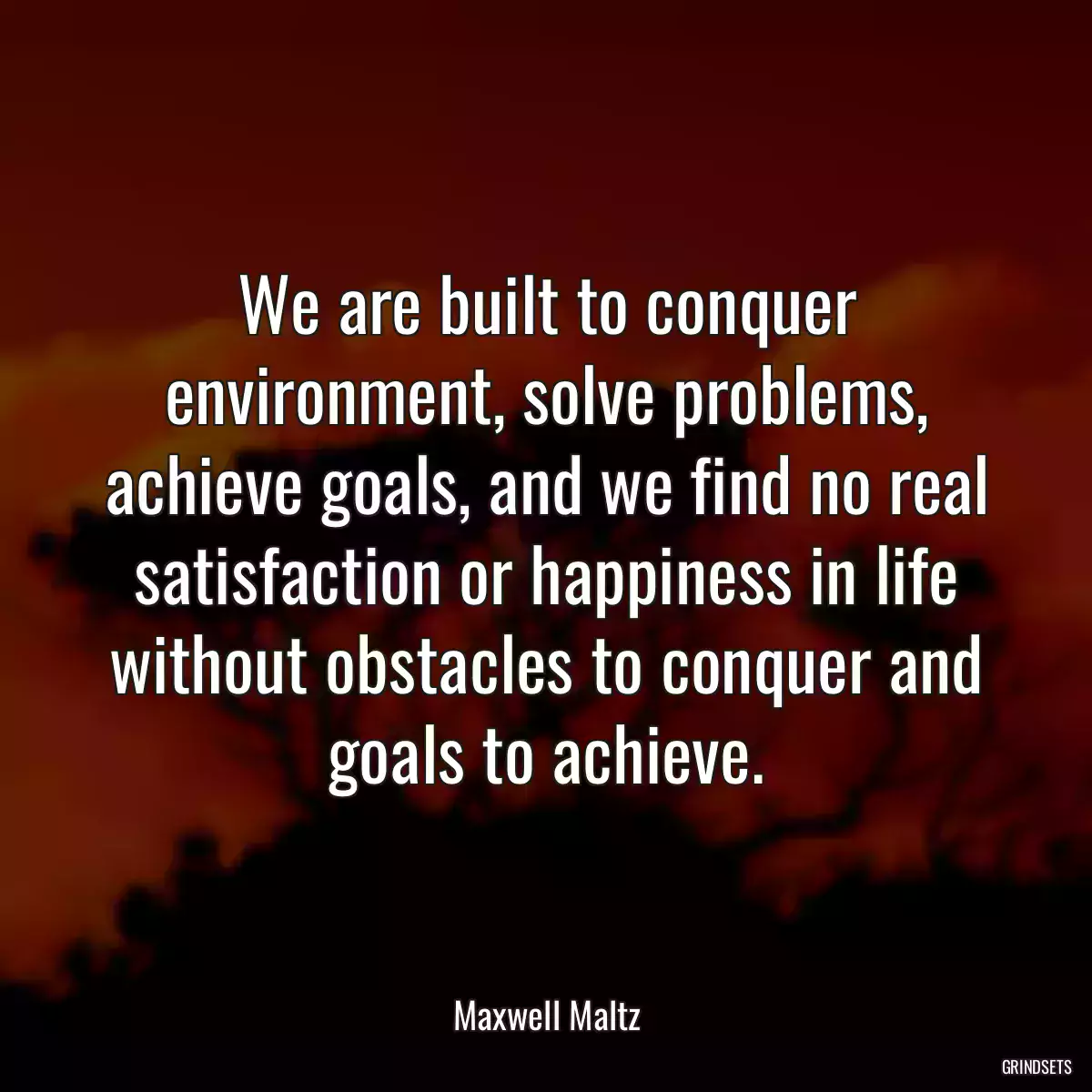 We are built to conquer environment, solve problems, achieve goals, and we find no real satisfaction or happiness in life without obstacles to conquer and goals to achieve.