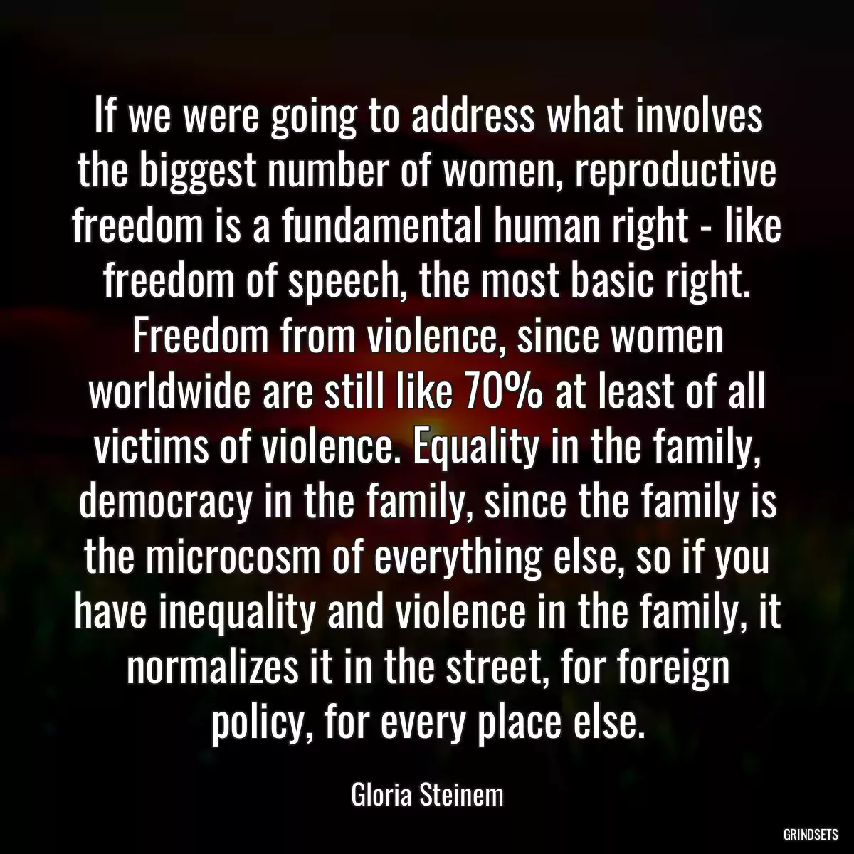 If we were going to address what involves the biggest number of women, reproductive freedom is a fundamental human right - like freedom of speech, the most basic right. Freedom from violence, since women worldwide are still like 70% at least of all victims of violence. Equality in the family, democracy in the family, since the family is the microcosm of everything else, so if you have inequality and violence in the family, it normalizes it in the street, for foreign policy, for every place else.