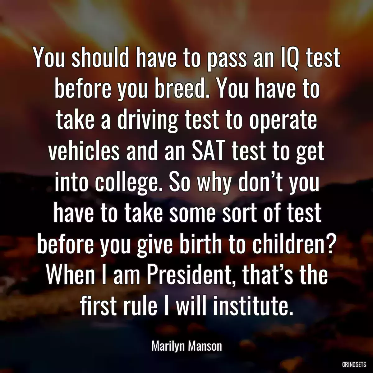 You should have to pass an IQ test before you breed. You have to take a driving test to operate vehicles and an SAT test to get into college. So why don’t you have to take some sort of test before you give birth to children? When I am President, that’s the first rule I will institute.