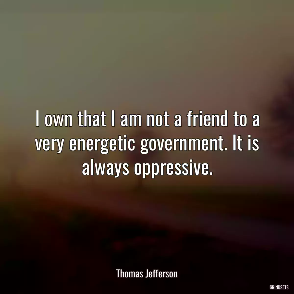 I own that I am not a friend to a very energetic government. It is always oppressive.