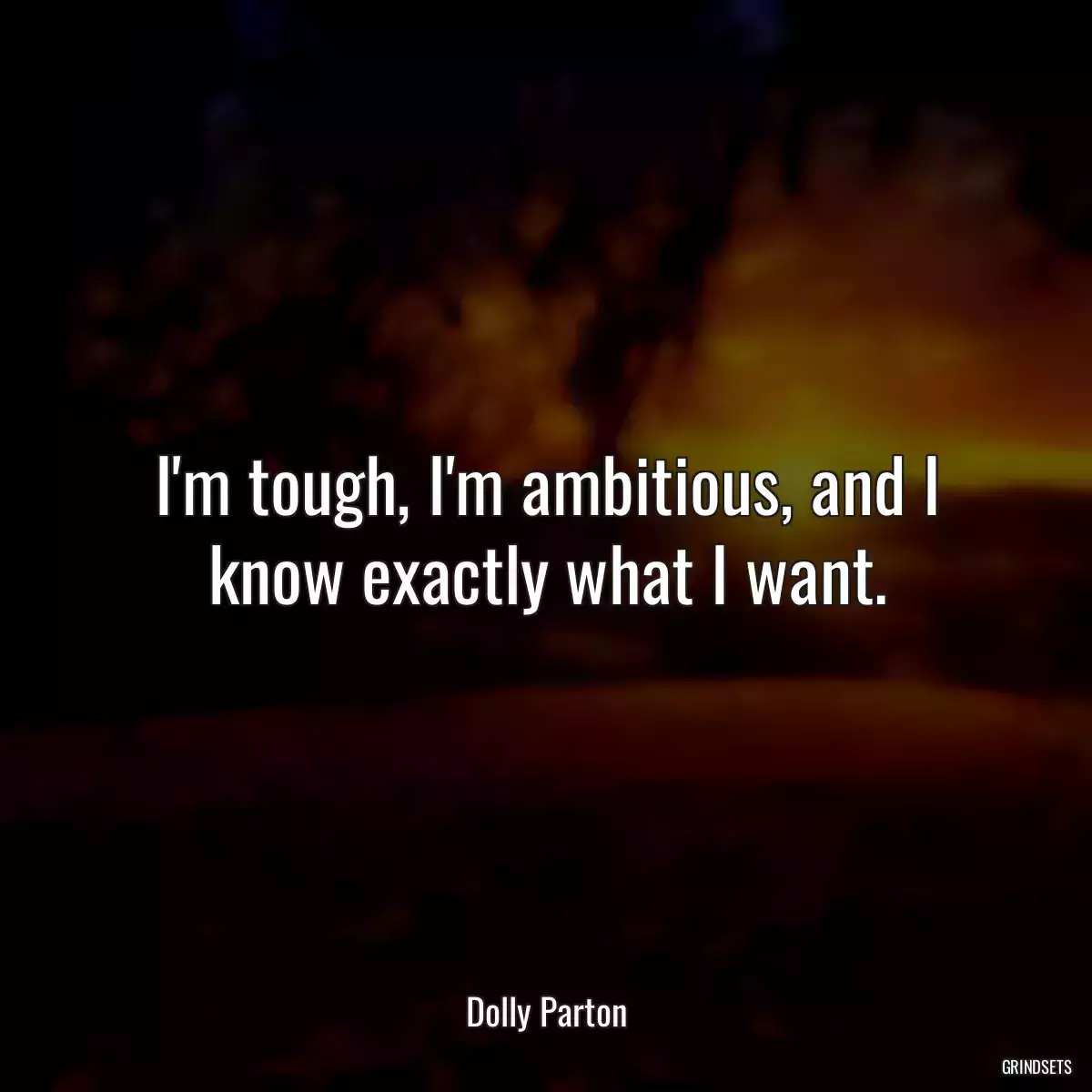 I\'m tough, I\'m ambitious, and I know exactly what I want.