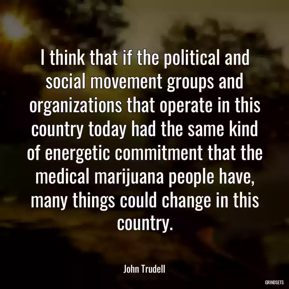 I think that if the political and social movement groups and organizations that operate in this country today had the same kind of energetic commitment that the medical marijuana people have, many things could change in this country.