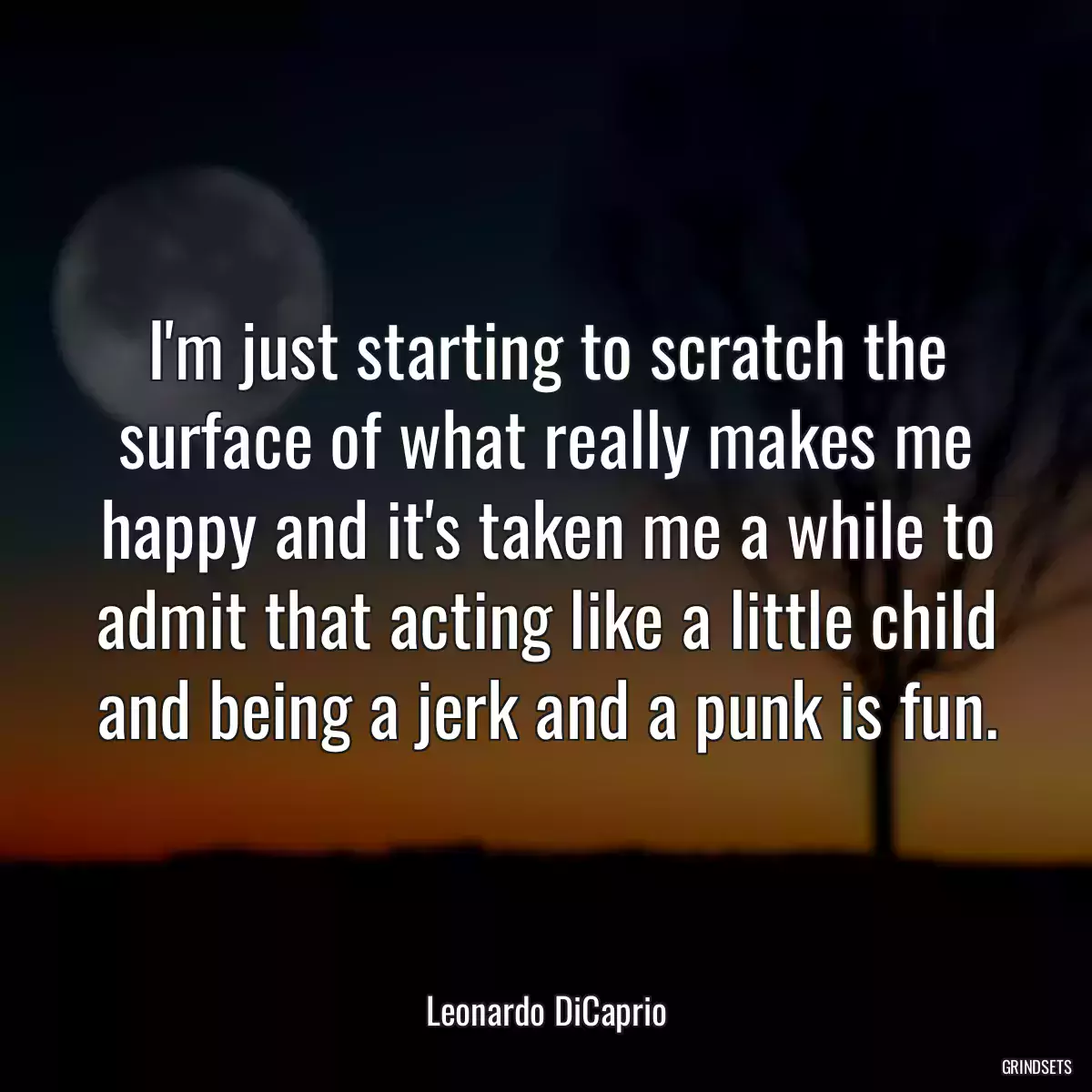 I\'m just starting to scratch the surface of what really makes me happy and it\'s taken me a while to admit that acting like a little child and being a jerk and a punk is fun.