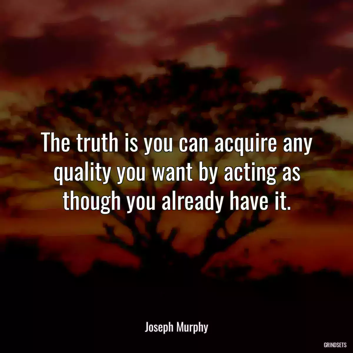 The truth is you can acquire any quality you want by acting as though you already have it.