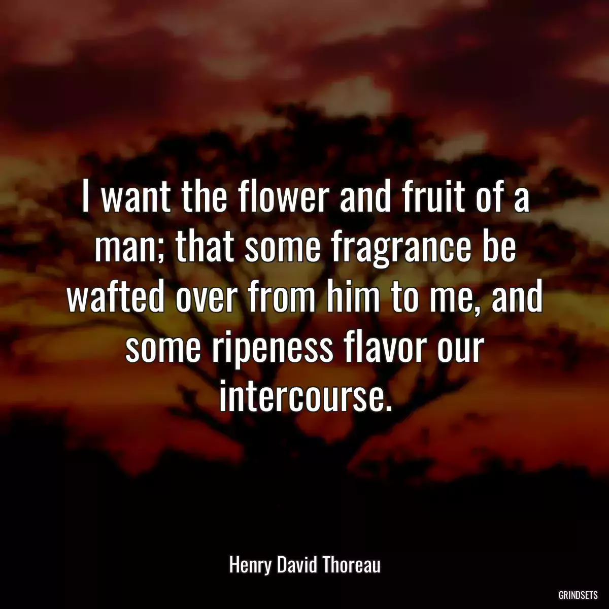 I want the flower and fruit of a man; that some fragrance be wafted over from him to me, and some ripeness flavor our intercourse.