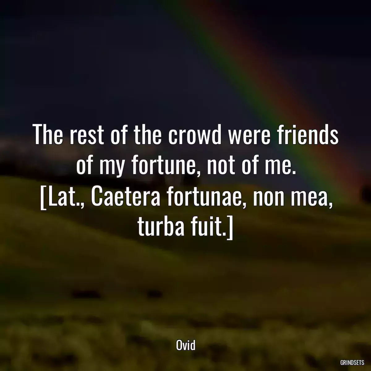 The rest of the crowd were friends of my fortune, not of me.
[Lat., Caetera fortunae, non mea, turba fuit.]