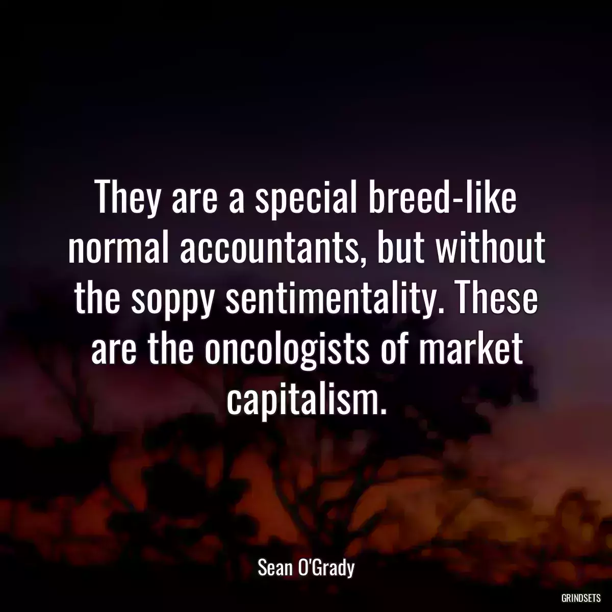 They are a special breed-like normal accountants, but without the soppy sentimentality. These are the oncologists of market capitalism.