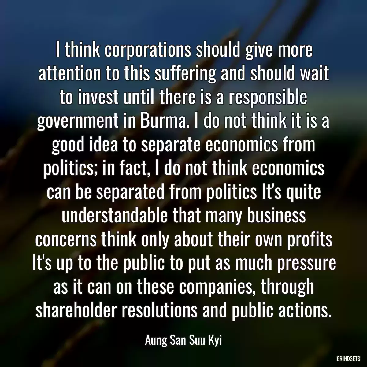 I think corporations should give more attention to this suffering and should wait to invest until there is a responsible government in Burma. I do not think it is a good idea to separate economics from politics; in fact, I do not think economics can be separated from politics It\'s quite understandable that many business concerns think only about their own profits It\'s up to the public to put as much pressure as it can on these companies, through shareholder resolutions and public actions.