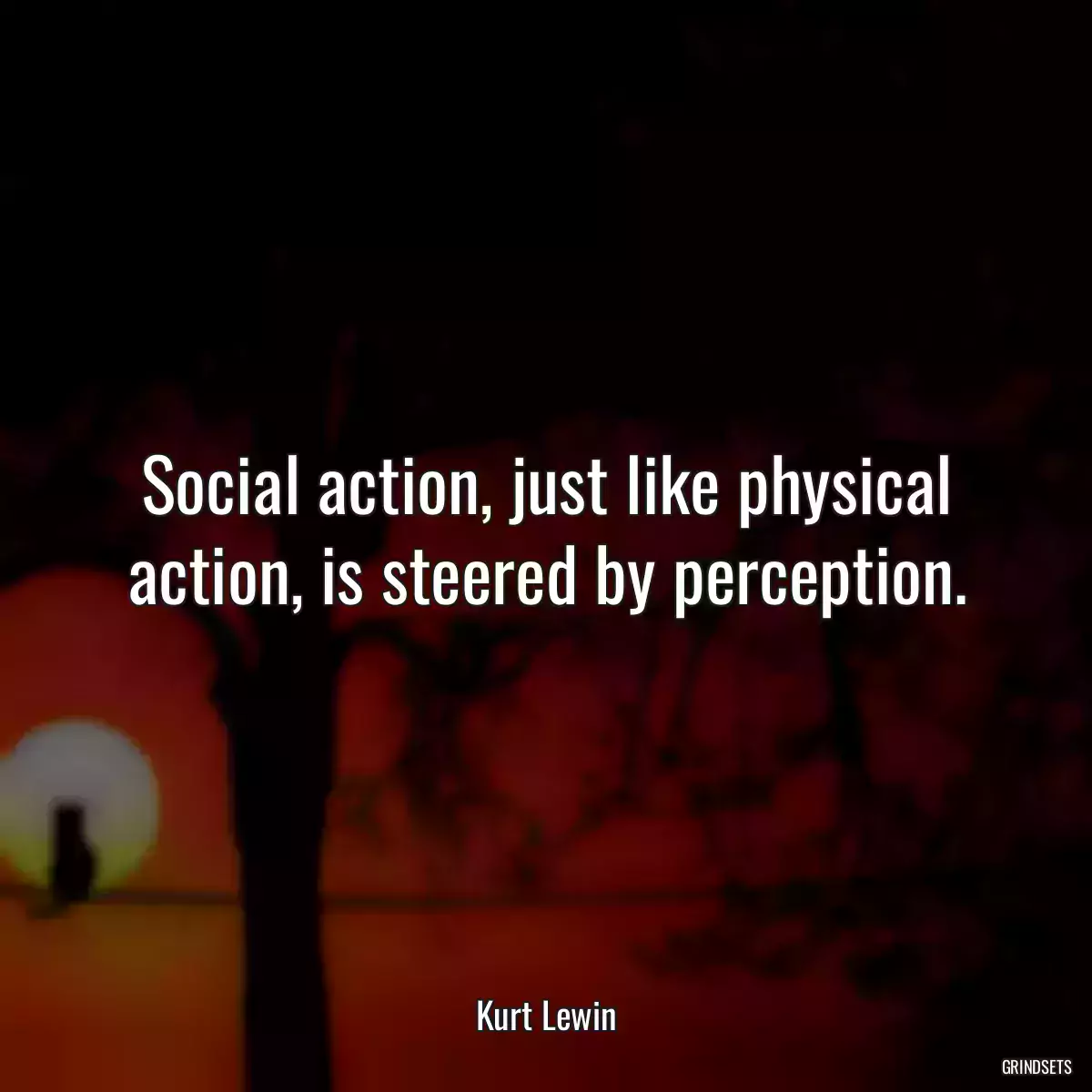 Social action, just like physical action, is steered by perception.