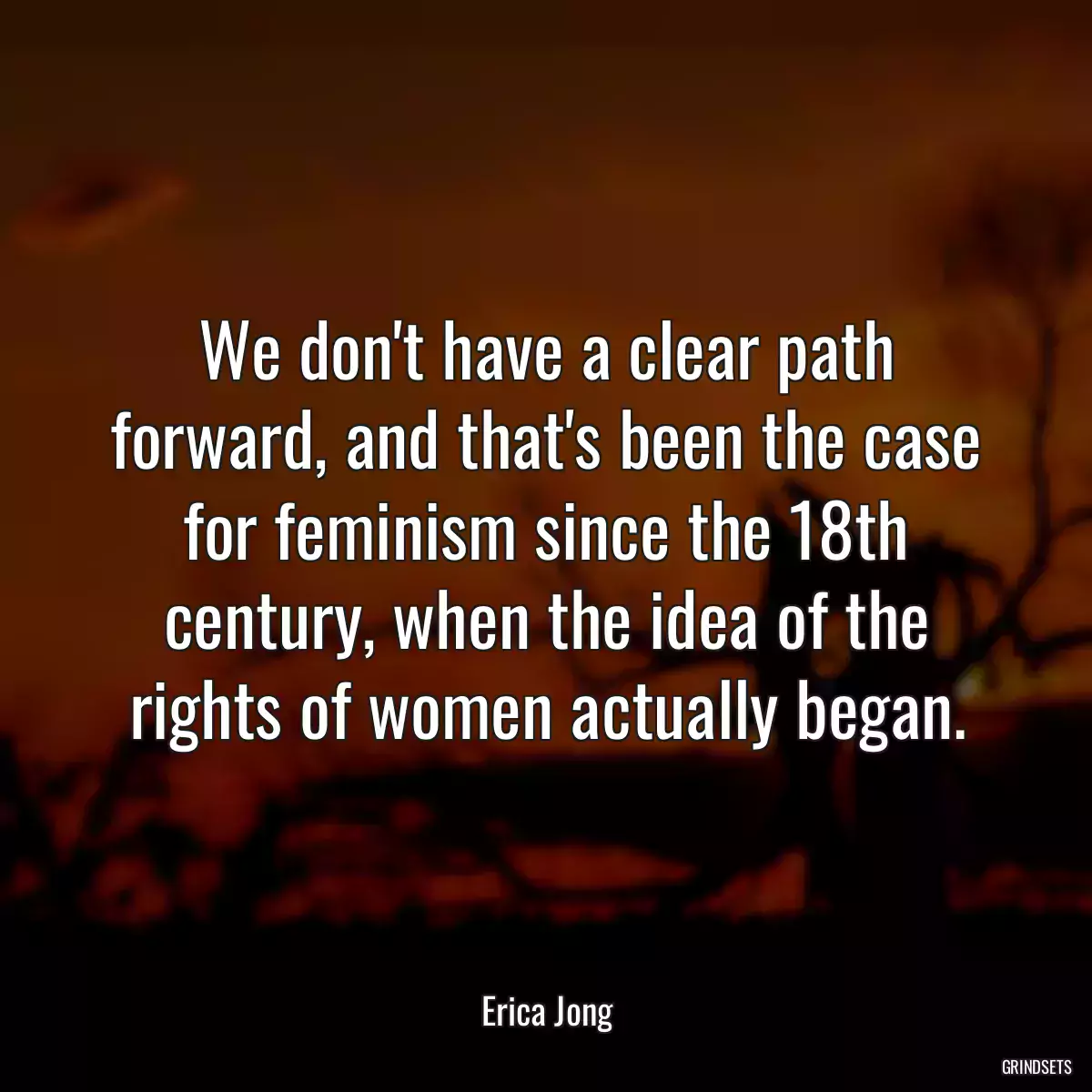 We don\'t have a clear path forward, and that\'s been the case for feminism since the 18th century, when the idea of the rights of women actually began.