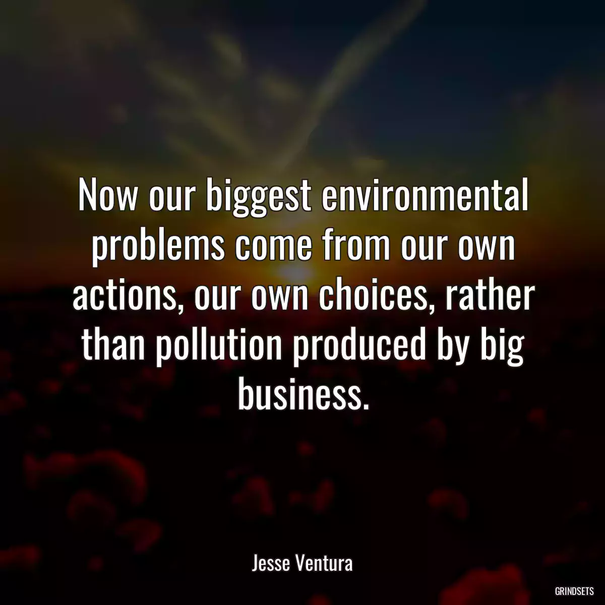 Now our biggest environmental problems come from our own actions, our own choices, rather than pollution produced by big business.