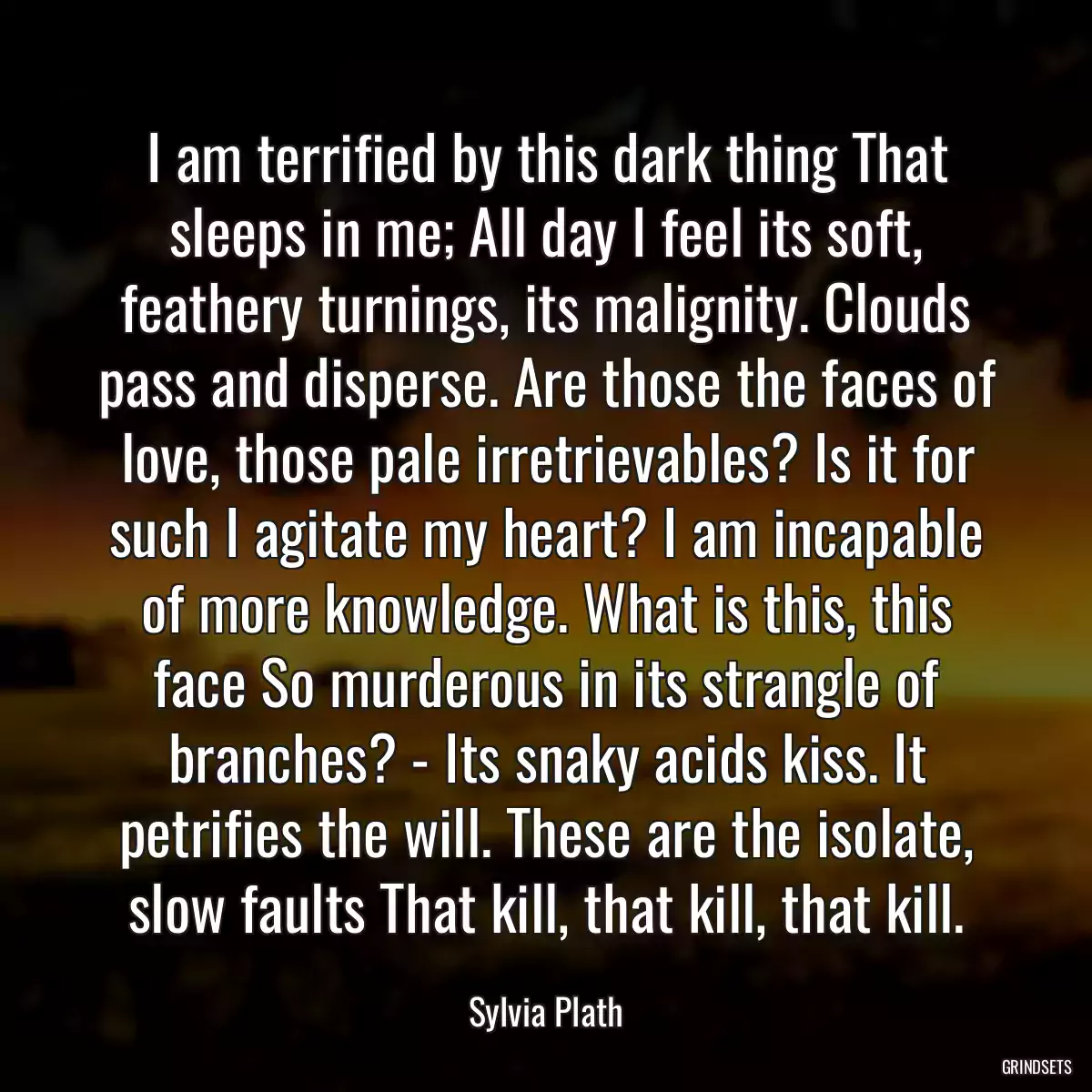 I am terrified by this dark thing That sleeps in me; All day I feel its soft, feathery turnings, its malignity. Clouds pass and disperse. Are those the faces of love, those pale irretrievables? Is it for such I agitate my heart? I am incapable of more knowledge. What is this, this face So murderous in its strangle of branches? - Its snaky acids kiss. It petrifies the will. These are the isolate, slow faults That kill, that kill, that kill.