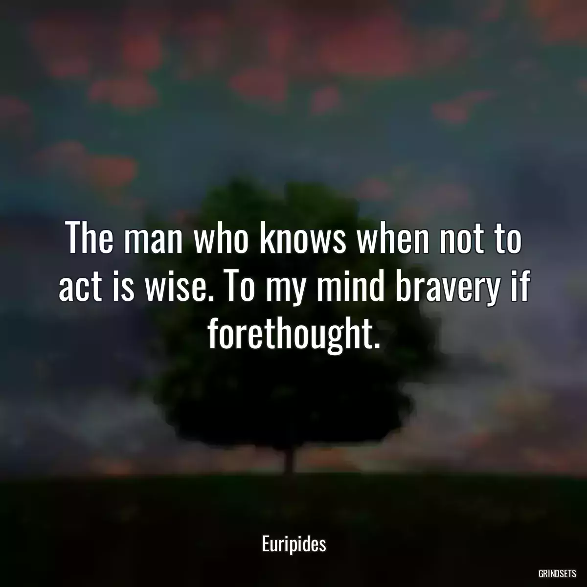 The man who knows when not to act is wise. To my mind bravery if forethought.