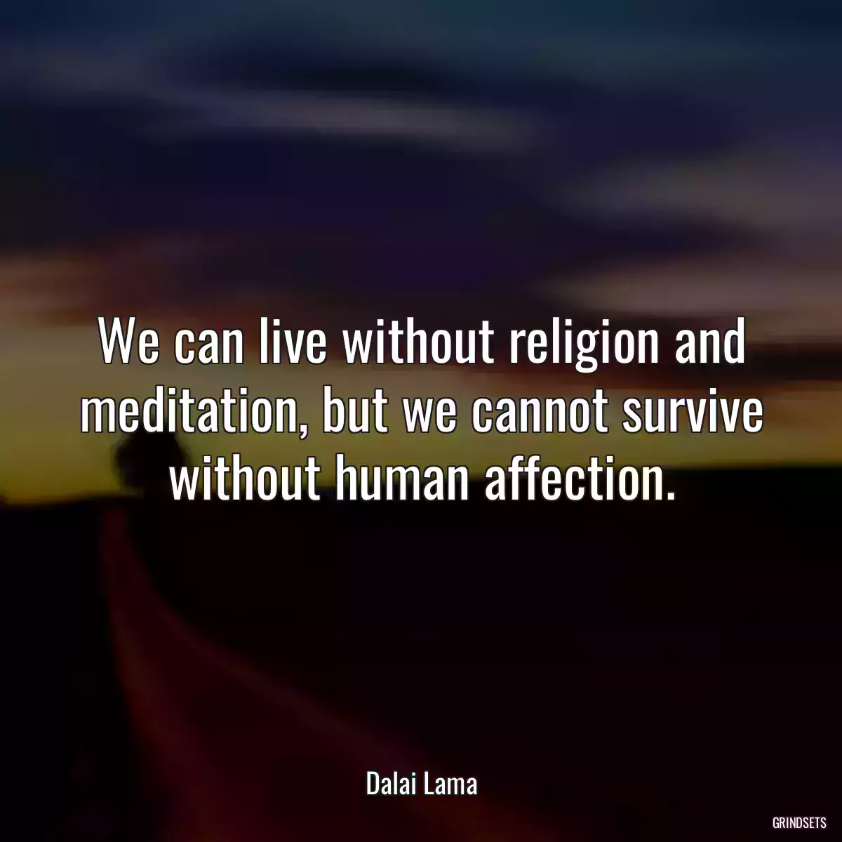 We can live without religion and meditation, but we cannot survive without human affection.