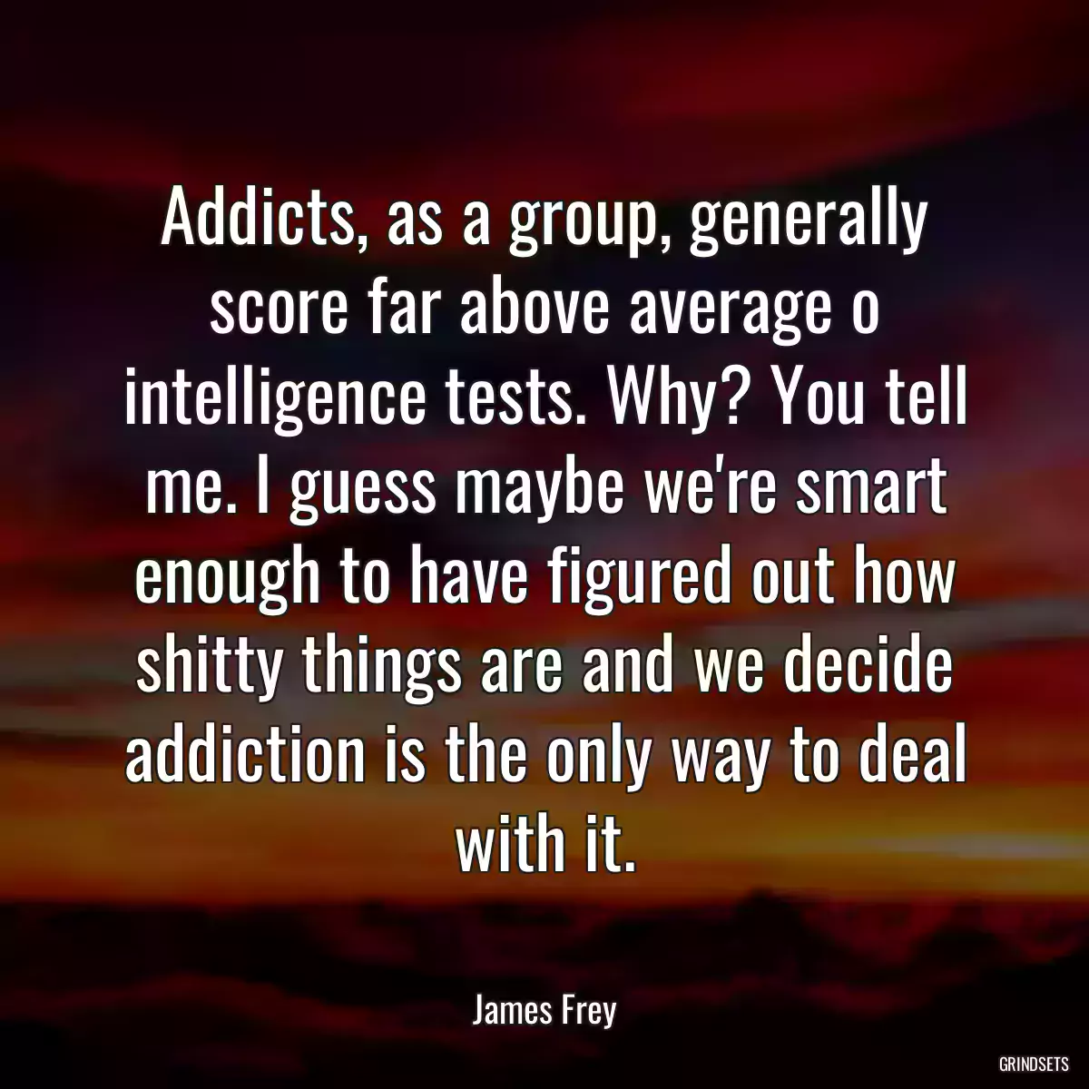 Addicts, as a group, generally score far above average o intelligence tests. Why? You tell me. I guess maybe we\'re smart enough to have figured out how shitty things are and we decide addiction is the only way to deal with it.