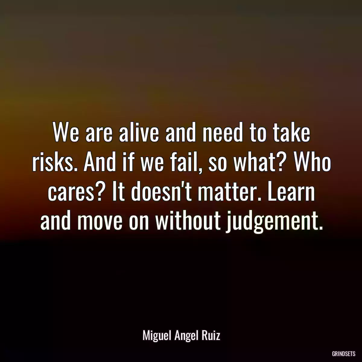 We are alive and need to take risks. And if we fail, so what? Who cares? It doesn\'t matter. Learn and move on without judgement.