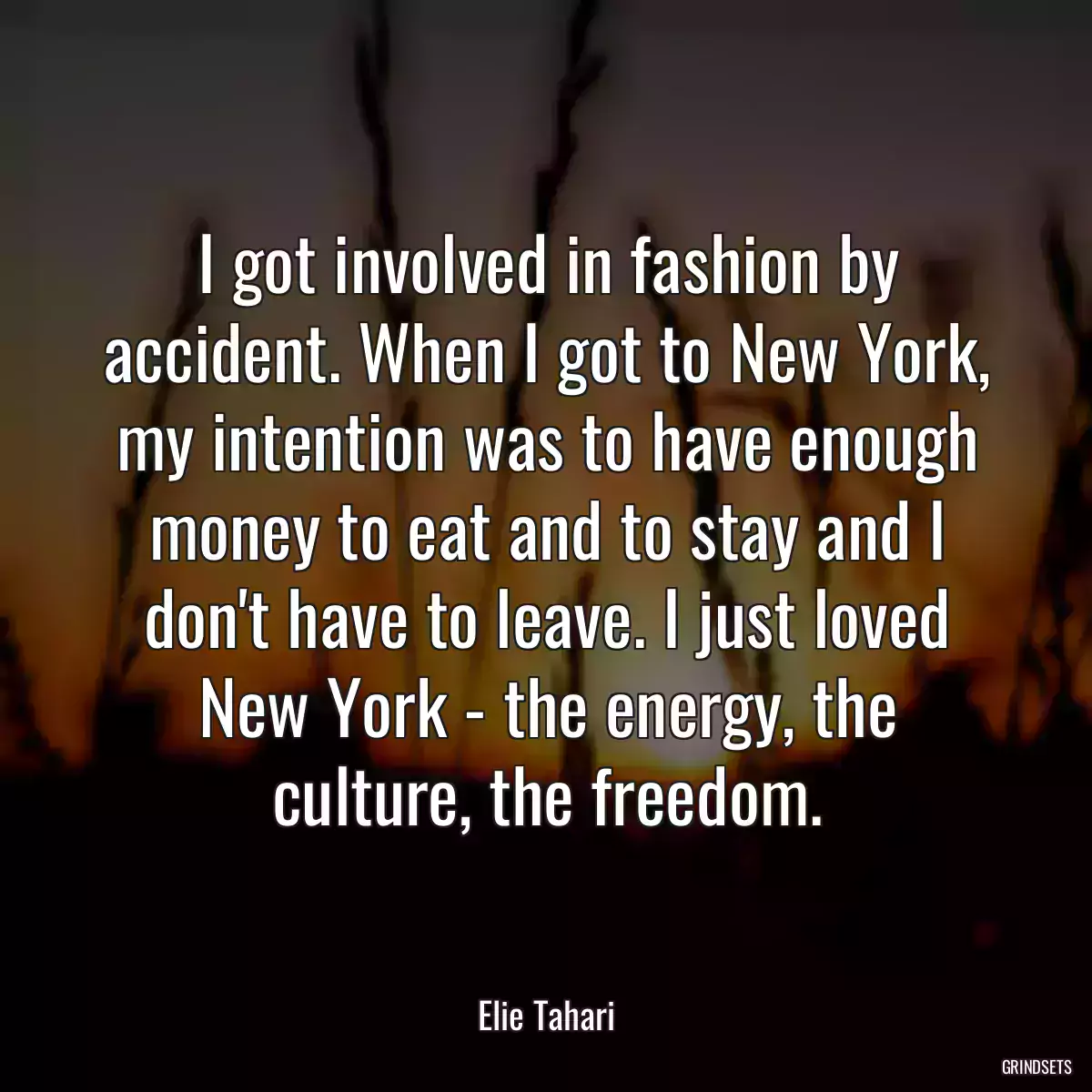 I got involved in fashion by accident. When I got to New York, my intention was to have enough money to eat and to stay and I don\'t have to leave. I just loved New York - the energy, the culture, the freedom.