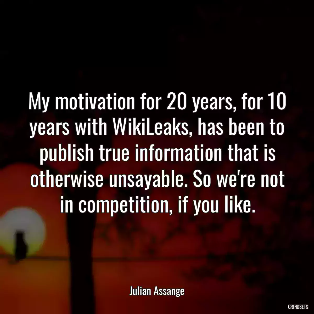 My motivation for 20 years, for 10 years with WikiLeaks, has been to publish true information that is otherwise unsayable. So we\'re not in competition, if you like.