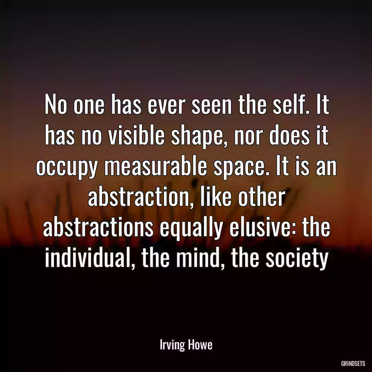 No one has ever seen the self. It has no visible shape, nor does it occupy measurable space. It is an abstraction, like other abstractions equally elusive: the individual, the mind, the society