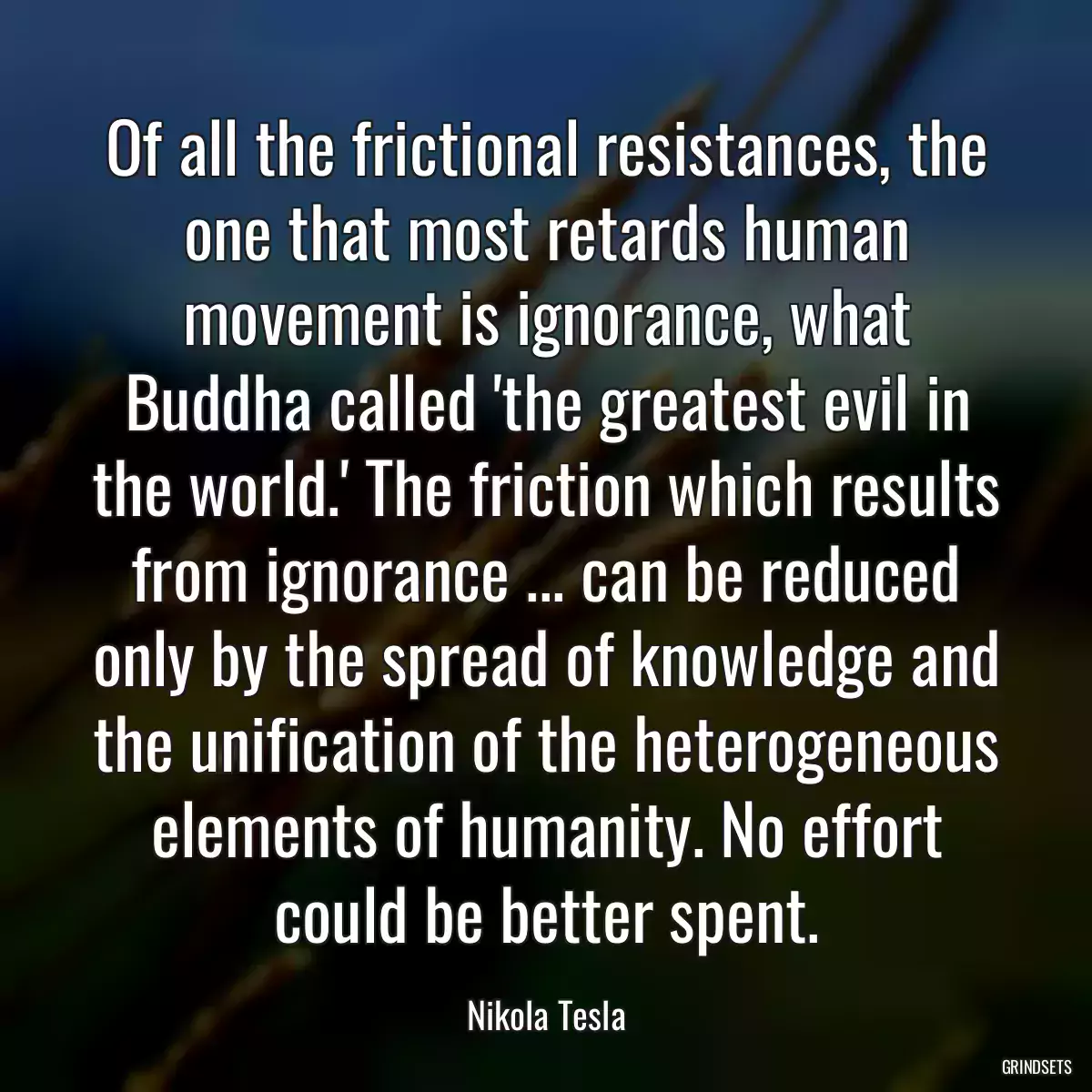 Of all the frictional resistances, the one that most retards human movement is ignorance, what Buddha called \'the greatest evil in the world.\' The friction which results from ignorance ... can be reduced only by the spread of knowledge and the unification of the heterogeneous elements of humanity. No effort could be better spent.